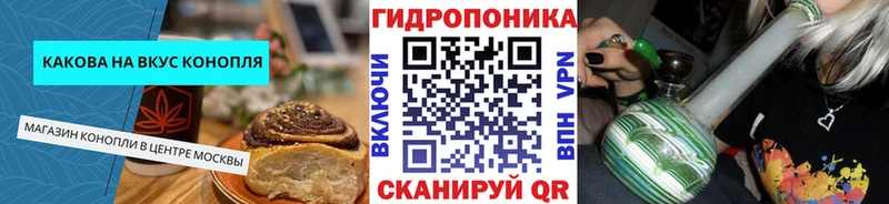 mega как зайти  Лодейное Поле  Cannafood марихуана 