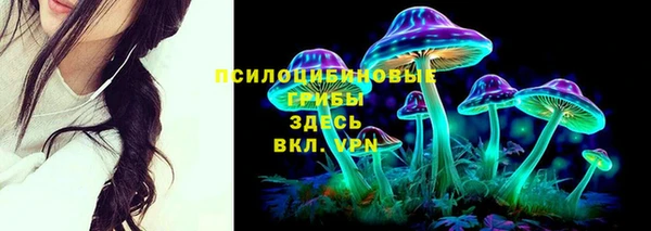 амф Алексин