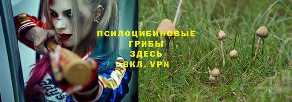 не бодяженный Армянск